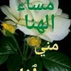 اسد اسد