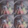 ais.ais0277