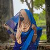 bithibiswas537