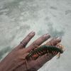 suwandi.wandi9907