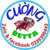 cuong.betta.farm