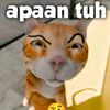 adamalfati7