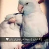 user1041449324787