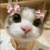naylaputri0246