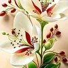 thu.nhin00