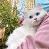 .mimi56532