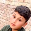 anp.king51