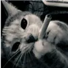 ..wh04m1_