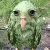 user_962410362916262
