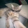danil_10072011