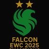 falcons1288