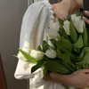 _.zainb52