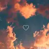 2y_313i