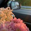 i_fatema6