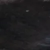 zzkittyy_01