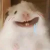 nhincaicuccut999