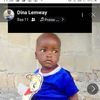 dina.lemway