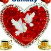 nishan.nishan144
