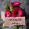user2853433546060