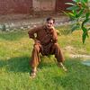 arshad17369