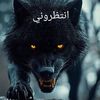 ahmed.ortag