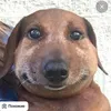 user_sofick