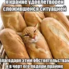 fshhhhhhhhhhhhhhhhhhhhh