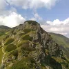 marzenakulczycka5