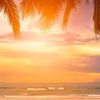 lovesunsetparadise