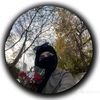 inas7775