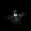 bob_vx1