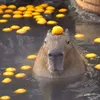 capybara00111