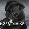 zestymike6969