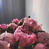 xyz_uting