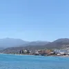 nae754467