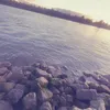 ripsynt