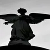 youngwind