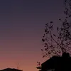 njhrn_