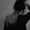 user1717417655327
