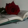 user4119841828034