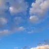 ggggg_y2
