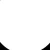 riczer_2