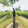 yeyintaung1234