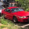 tralalero447