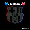 nelson.giron73