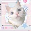 lovly_na4a
