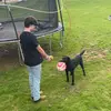 aidenstuckey23