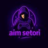 aim.setori