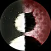 chutichhochiminhm