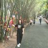 kornpreeya_88